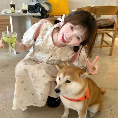 一秒变总统第二季